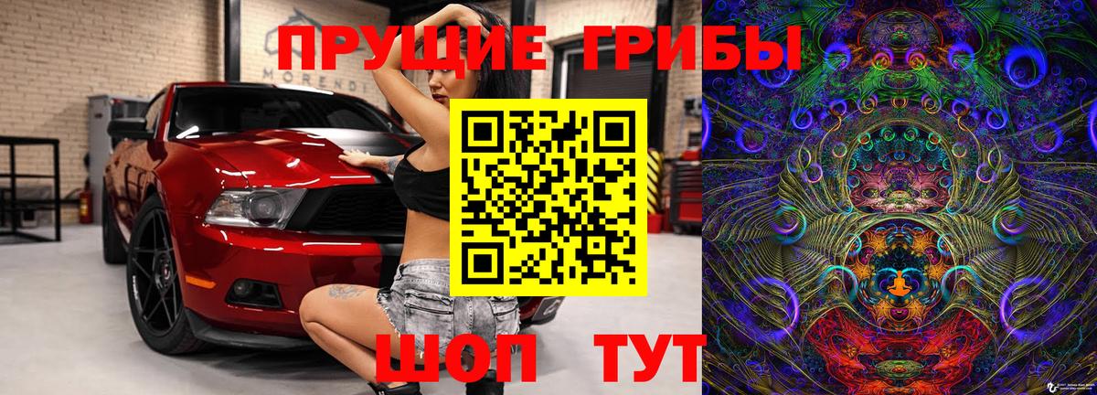 Горно-Алтайск  Галлюциногенные грибы Cubensis  Псилоцибиновые грибы мухоморы  Вход с VPN 